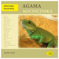 Agama kočinčinská - Abeceda teraristy - Forejt Jaroslav