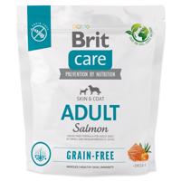 BRIT Care Dog Grain-free Adult 1kg