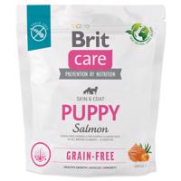 BRIT Care Dog Grain-free Puppy Salmon 1kg