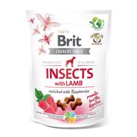 Brit Crunchy Cracker - hmyz, jehněčí maso a maliny 200 g