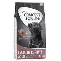 Concept for Life granule, 2 balení  - 10 % sleva - Labradorský retrívr Adult (2 x 12 kg)
