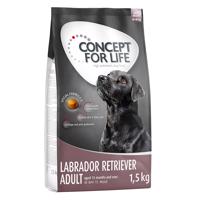 Concept for Life granule, 4 x 1 / 1,5 kg - 20 % sleva - Labradorský retrívr Adult 4 x 1,5 kg