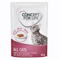 Concept for Life kapsičky, 48 x 85 g za skvělou cenu! - All Cats v želé