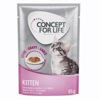 Concept for Life Kitten - Vylepšená receptura! - Nový doplněk: 12 x 85 g Concept for Life Kitten v omáčce