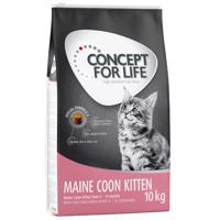 Concept for Life Maine Coon Kitten – Vylepšená receptura! - 10 kg