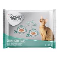 Concept for Life zkušební balení - 4 x 85 g  - Kitten