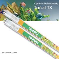 Dennerle Trocal de Luxe T8 Special Plant DUO 2 × 15 W / 438 mm