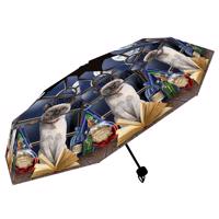 Deštník s kočkou kouzelnicí - skládací - design Lisa Parker