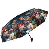 Deštník s magickými kočkami - skládací - design Lisa Parker
