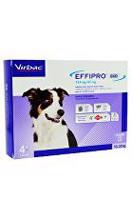 Effipro DUO Dog M (10-20kg) 134/40 mg, 4x1,34ml megasleva
