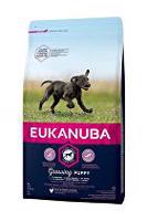 Eukanuba Dog Puppy&Junior Large 15kg sleva
