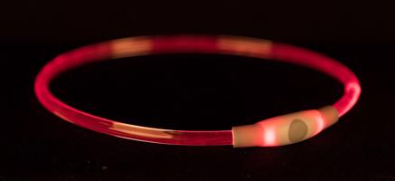 Flash light ring USB, blikací obojek ø 8 mm, červená Velikost: L-XL