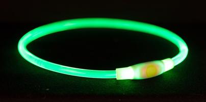 Flash light ring USB, blikací obojek ø 8 mm, zelená Velikost: L-XL