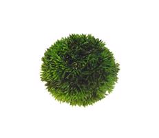 HOBBY dekorace Plant Ball (Řasokoule umělá) Velikost: 13cm