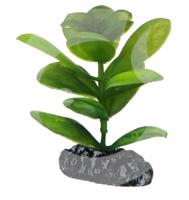 HOBBY Plastová rostlina Saururus, 7 cm