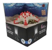 HYDOR H2shOw Ocean Wonders Hvězdice + bílé LED 12 x 12 x 4 cm