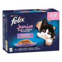 Jumbobalení Felix Fantastic ("So gut...") - Junior kapsičky 12x85 g - 2 x 12 kapsiček - 24 x 85 g - kuřecí, hovězí, losos, sardinky