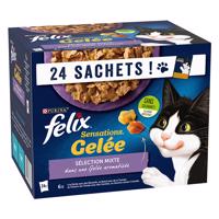 Kapsičky Felix "Sensations" 24 x 85 g  - 120 x 85 g v želé - mix
