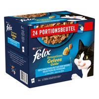 Kapsičky Felix "Sensations" 24 x 85 g - 120 x 85 g v želé - sardinky, losos, treska tmavá, pstruh