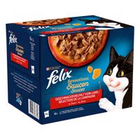 Kapsičky Felix "Sensations" 24 x 85 g - 24 x 85 g v omáčce - krůtí, hovězí, jehněčí, kachní