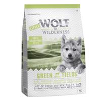 Little Wolf of Wilderness Junior - Green Fields - jehněčí - 1 kg
