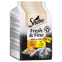 Megapack Sheba Fresh & Fine kapsičky 12 x 50 g - krocaní a kuřecí v želé