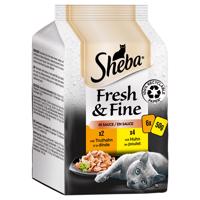 Megapack Sheba Fresh & Fine kapsičky 12 x 50 g - kuřecí a krůtí v omáčce