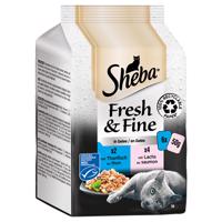 Megapack Sheba Fresh & Fine kapsičky 12 x 50 g - tuňák a losos v želé