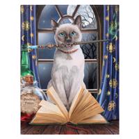 Obraz na plátně kočka kouzelnice - design Lisa Parker