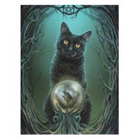 Obraz na plátně s kočkou a věšteckou koulí - design Lisa Parker