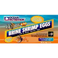 Ocean Nutrition Artemie Brine Shrimp Eggs 50g