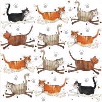 Podtácek s dvanácti kočkami - design Alex Clark