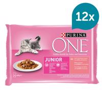 PURINA ONE JUNIOR krmivo pro koťata v kapsičce s omáčkou s lososem 12× 4× 85 g