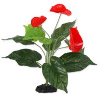 Rostlina REPTI PLANET kvetoucí Anthurium 40 cm 1ks
