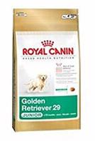 Royal canin Breed Zlatý Retriever Junior  12kg sleva