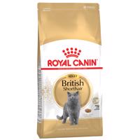 Royal Canin British Shorthair Adult granule - 10 kg