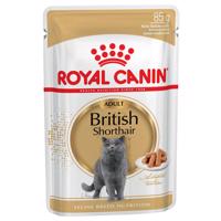 Royal Canin British Shorthair Adult - v omáčce - 24 x 85 g