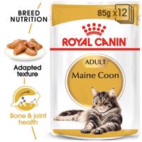 ROYAL CANIN Maine Coon Adult granule pro kočky 48 × 85 g
