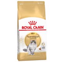 Royal Canin Norwegian Forest Cat Adult - 2 x 2 kg
