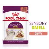 Royal Canin Sensory Smell Gravy 12 × 85 g