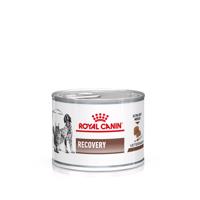 Royal Canin Veterinary Canine Recovery Mousse - 24 x 195 g