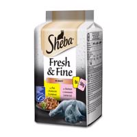 Sheba Fresh & Fine kapsičky mixovaný výběr ve šťávě 72 x 50 g