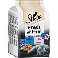 Sheba Fresh & Fine tuňák a losos v želé 6× 50 g