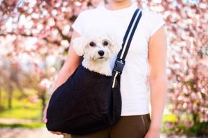 TailUp taška pro psa | do 5 Kg Barva: Šedá, Dle váhy psa: do 2 kg