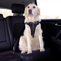 Trixie Dog Protect ochranný postroj pro psy M