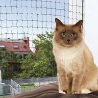 Trixie ochranná síť pro kočky - olivová - 2 x 1,5 m