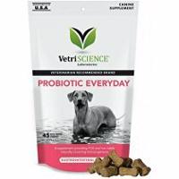 VetriScience Probiotic Everyday probiotikum psi 45ks + Množstevní sleva