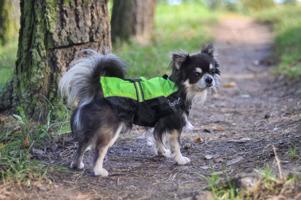 Vsepropejska Heda pláštěnka pro psa Barva: Zelená, Délka zad (cm): 31, Obvod hrudníku: 31 - 38 cm