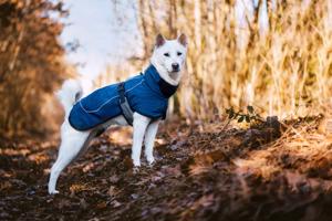 Vsepropejska Maka zimní bunda pro psa Barva: Modrá, Délka zad (cm): 38, Obvod hrudníku: 54 - 60 cm
