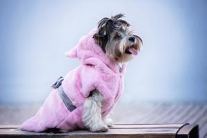 Vsepropejska Sandy růžová měkoučká mikina pro psa Barva: Růžová, Délka zad (cm): 35, Obvod hrudníku: 42 - 48 cm